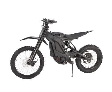 E-RIDE PRO SS 3.0